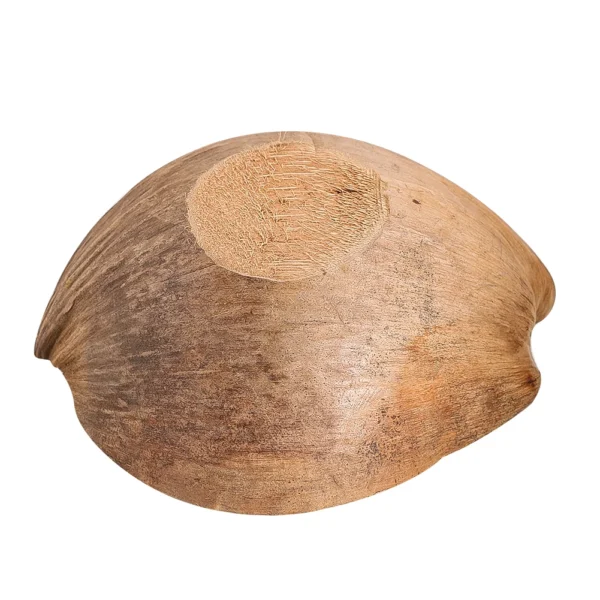 Candle Making Kit – Coconut Shell Bowl for DIY - Image 5